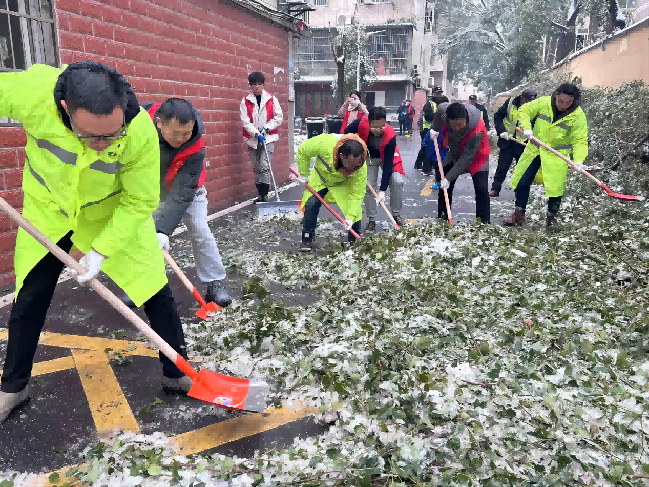 老子有钱lzyq88(中国)有限公司官网
