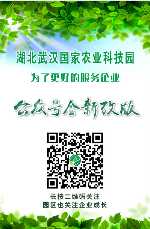 老子有钱lzyq88(中国)有限公司官网